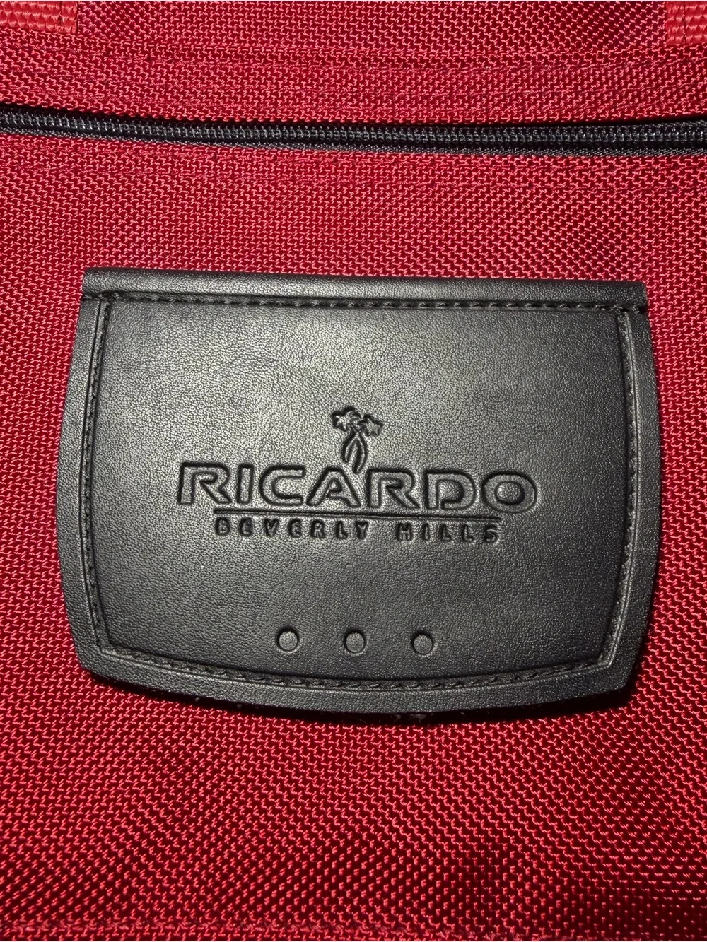 Ricardo construction travel color